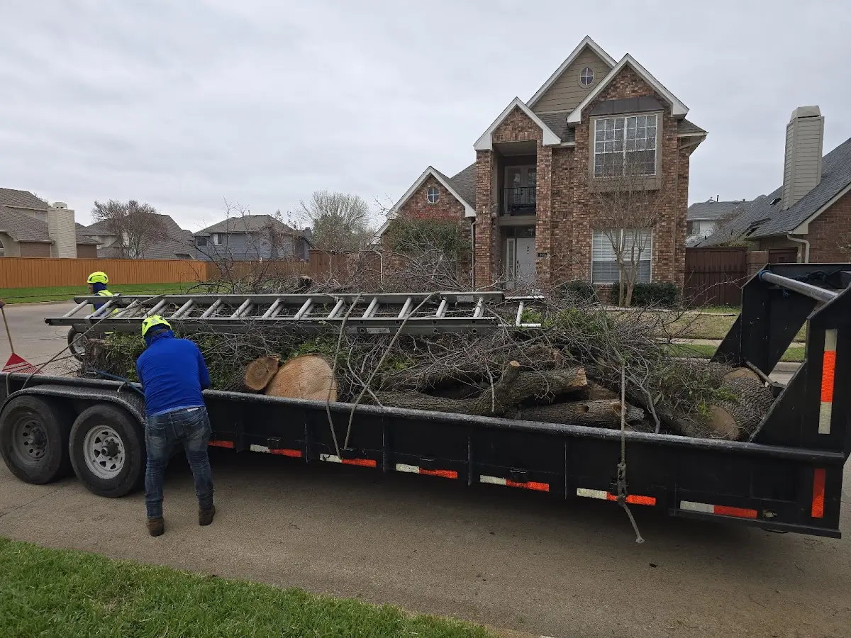 Expert Tree Removal with proper safety equipment in Greensboro Bend